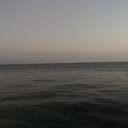 サビキでアジ釣り